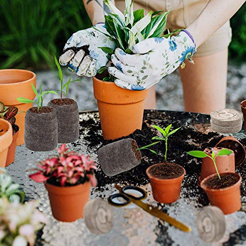 Vjsujehgy 120 StüCk 30Mm Torf Pellet Boden Pflanzen Stopfen Paletten SäMling Boden Block, Saatgut DüNger NäHrstoff Block für Blumen von Vjsujehgy