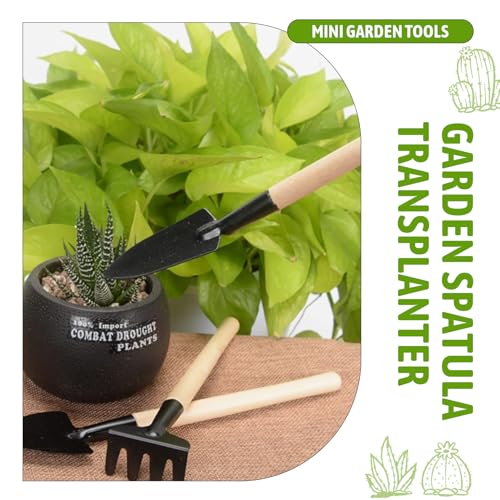 Vjsujehgy 3 StüCk Kleine Garten Hand Schaufel Garten Kelle Transplanter Leichtes Bequemes Garten Werkzeug Teile mit Ergonomischem von Vjsujehgy