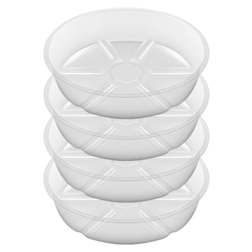Vjsujehgy 4er-Pack Klare Pflanzenschale 8 Kunststoff-Pflanzenschalen Dickere Pflanzenschale Blumentopf für Den Innen- und Außenbereich Vjsujehgy 4er-Pack Klare Pflanzenschale 8 Kunststoff-Pflanzenschalen Dickere Pflanzenschale Blumentopf für Den Innen- und Außenbereich von Vjsujehgy