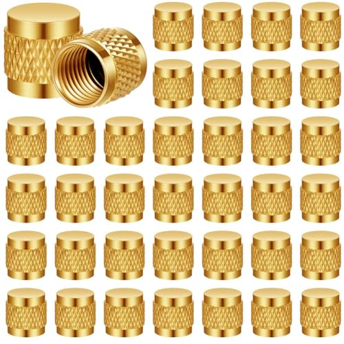 Vjsujehgy 50 Stück 1/4 Flare Cap, Rund, Messing mit Neopren-O-Ring-Dichtung Vjsujehgy 50 Stück 1/4 Flare Cap, Rund, Messing mit Neopren-O-Ring-Dichtung von Vjsujehgy