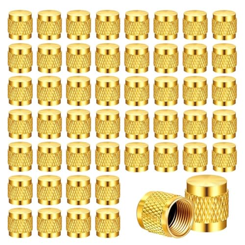 Vjsujehgy 50 Stück 1/4-Messing-Bördelkappen, Kappen Aus Massivem Messing mit Neopren-O-Ring-Dichtung, 1/4-SAE-HVAC-Ventilkappen von Vjsujehgy