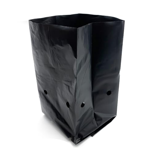 Vjsujehgy 500 Stück PE-Setzlingsbeutel mit Luftlöchern für Gartenpflanzen 14x15cm Vjsujehgy 500 Stück PE-Setzlingsbeutel mit Luftlöchern für Gartenpflanzen 14x15cm von Vjsujehgy