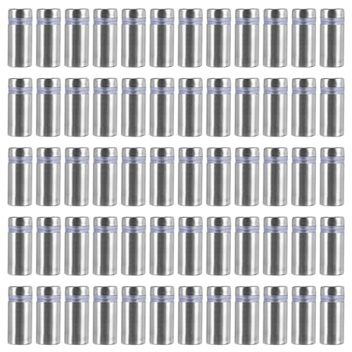 Vjsujehgy 60 StüCke Schild Abstands Schrauben Werbeschrauben Edelstahl Wand Abstands Halter Glas Acryl Nagel für Glas Kunstwerke von Vjsujehgy