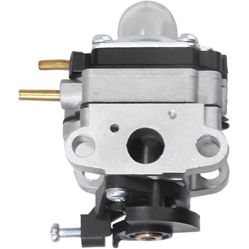 Vjsujehgy 753-06258A Vergaser für RY252CS RY253SS RY251PH RY254BC 2-Takt 25cc Benzin-Rasentrimmer-Kantenschneidermotor mit Luftfilter von Vjsujehgy