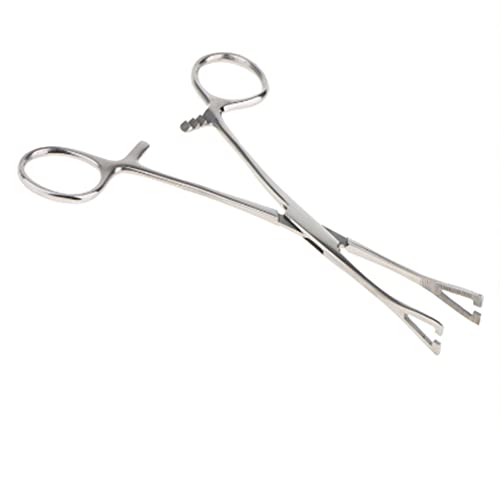 Vjsujehgy Dreiecks-ÖFfnungszangen-Piercing-Pinzetten-Werkzeug Edelstahl-KöRper-Piercing-ZangenköRper für Ohr-Nase-Zunge von Vjsujehgy