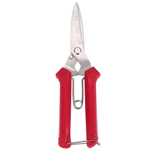 Vjsujehgy Gartenarbeit Hand Pruner Garten Schere Garten Schere Micro-Tip Beschneidung Schnippel Blatt Trimmer Gerade Florist Schere Für Pflanzen Vjsujehgy Gartenarbeit Hand Pruner Garten Schere Garten Schere Micro-Tip Beschneidung Schnippel Blatt Trimmer Gerade Florist Schere Für Pflanzen von Vjsujehgy