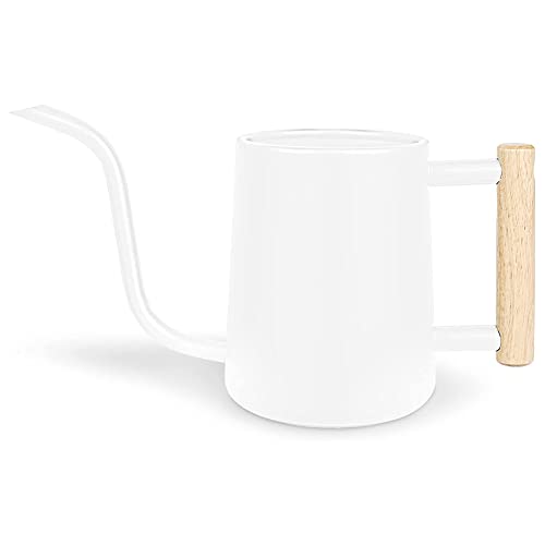 Vjsujehgy GießKanne für Zimmerpflanzen, 35 Oz/1000 Ml Metall-Edelstahl-GießKanne mit Langer TüLle für Zimmerpflanzen, von Vjsujehgy