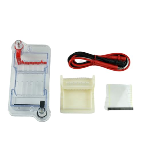 Vjsujehgy Horizontaler Elektrophoresetank Elektrophoresetank Biologisches Instrument Lehrinstrument für die Molekulare Trennung von Vjsujehgy