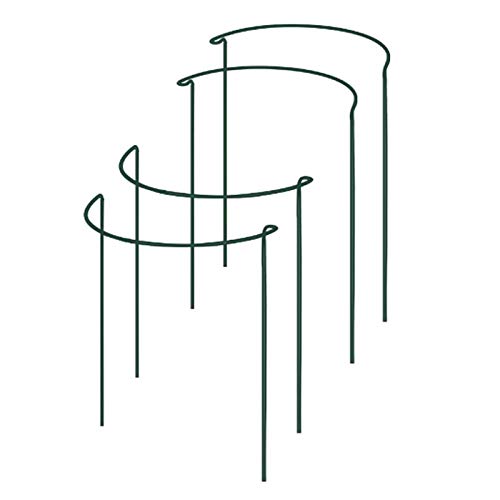 Vjsujehgy Plant Support Stake, 4Er Pack Halbrunde Metall-GartenpflanzenstüTzen, Grün Garden Plant Support Ring, Garden Border Supports Vjsujehgy Plant Support Stake, 4Er Pack Halbrunde Metall-GartenpflanzenstüTzen, Grün Garden Plant Support Ring, Garden Border Supports von Vjsujehgy