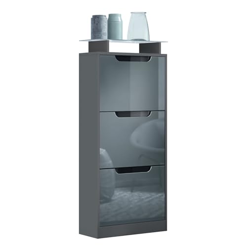Vladon Schuhschrank Space V2, Schuhkipper für 12 Paar Schuhe mit 3 Klappen und Glasablage, Anthrazit matt/Grau Hochglanz (46 x 128 x 23 cm) von Vladon