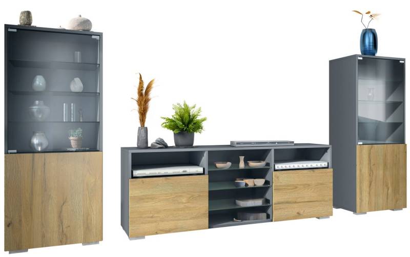 Vladon Wohnwand Granada, (Anbauwand, bestehend aus 2 Vitrinen und 1 TV-Board), Anthrazit matt/Eiche Natur (286 x 122,5 x 35 cm) von Vladon