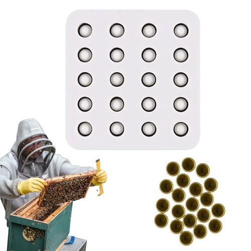Vmiorzq Königinnen Umlarvrahmen Halter - 20 Löcher Wachsform Für Bienenstock | Stabilisierung Antihaft "beständig Manuelle Silikonwerkzeuge für Anfänger Hobbyimker Urbane Imkerei von Vmiorzq