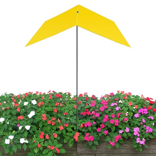 Vmiorzq Pflanzenschirm - Beschattung Für Garten Und Outdoor Pflanzen | Sonnenschutz Abdeckung UV-Beständig Mit Hitzereduktion Für Garten Terrasse Gewächshaus Hinterhof Schule/Kindergarten Einfahrt & Vmiorzq Pflanzenschirm - Beschattung Für Garten Und Outdoor Pflanzen | Sonnenschutz Abdeckung UV-Beständig Mit Hitzereduktion Für Garten Terrasse Gewächshaus Hinterhof Schule/Kindergarten Einfahrt & von Vmiorzq