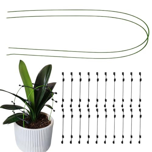 Vmiorzq Pflanzenstützen Stützstäbe - Pflanzenstützen Indoor,Biegsame Metallstäbe Mit Klemmen Für Gewächshaus Gartenbereich Rasen Beet Indoor Outdoor Orchideen Gemüsepflanzen Verstellbar von Vmiorzq