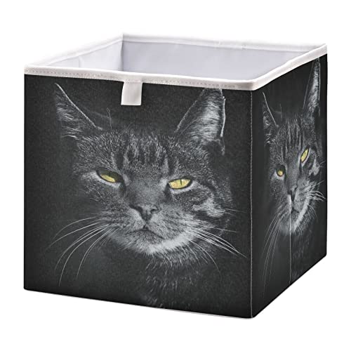 Vnurnrn Wütende Gruselige Schwarze Katze Kleidung Spielzeug Box Faltbare offene Aufbewahrungsboxen Organizer großer Kapazität mit Deckel für zu Hause von Vnurnrn