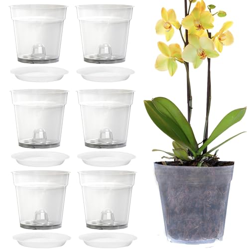 Voarge 6 Stück Transparent Orchideentöpfe, Pflanztöpfe mit Löchern und Untertassen Orchideen Für Indoor Outdoor Balkon Schreibtisch von Voarge