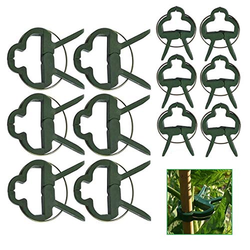 Voarge 60 Stück Pflanzenclips Stabile Clips Pflanzenklammern, 2 Größe Gartenpflanze Clips wiederverwendbar, für Pflanzen Sicherung Unterstützt, Einzupflanzen Rosenbögen Rankhilfen (30 große 30 kleine) von Voarge