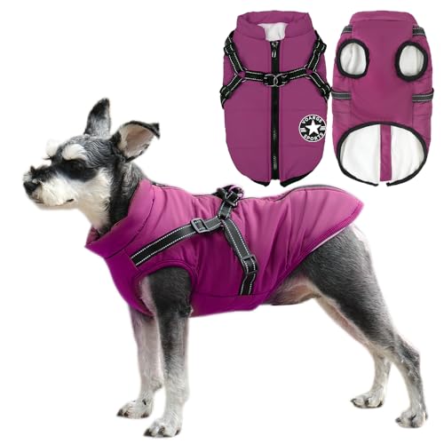 Voarge Hundejacke Winterweste Jacken, Hundemantel mit Geschirr für Kleine Hunde Hundemantel Wasserdicht Maschinen Waschbarer Reflektierender Streifen Design Haltbarer D-Ring (Lila, M) von Voarge