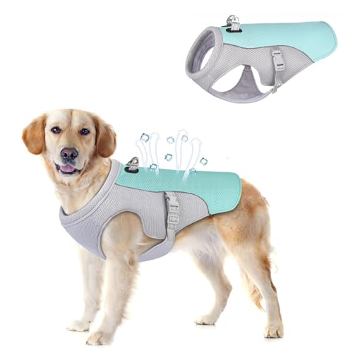 Voarge Kühlweste für Hunde, Leichtgewicht Kühlweste, Atmungsaktive Reflektierende Sicherheitsweste für Klein Mittel, UV-Schutz Hunde Kühlweste, L Voarge Kühlweste für Hunde, Leichtgewicht Kühlweste, Atmungsaktive Reflektierende Sicherheitsweste für Klein Mittel, UV-Schutz Hunde Kühlweste, L von Voarge