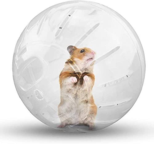 Voarge Running Ball Laufball für Nager, Hamster, Bewegung, Nagerspielzeug zum Laufen, Kunststoff, 12cm, transparent von Voarge