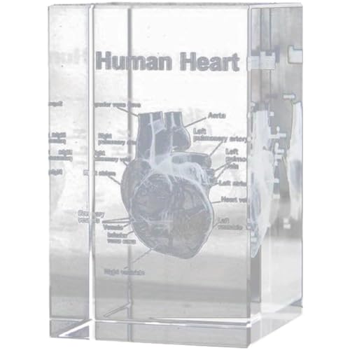 Vobumix 3D-briefbeschwerer Anatomischem Modell des Menschlichen Herzens (geätzt) in Kristallglaswürfel, Wissenschaftliches Geschenk von Vobumix