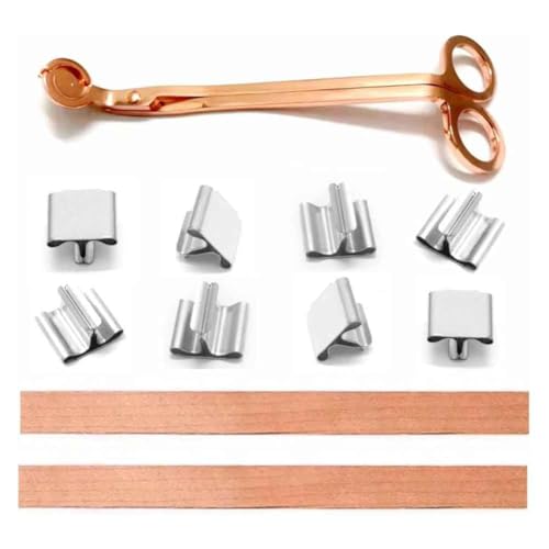 Vocdikficy 100 Stück Holzdochte für Kerzen, Holzkerzendochte, Holzdochte mit Trimmer, Natürlich, für die Kerzenherstellung, DIY-Basteln Vocdikficy 100 Stück Holzdochte für Kerzen, Holzkerzendochte, Holzdochte mit Trimmer, Natürlich, für die Kerzenherstellung, DIY-Basteln von Vocdikficy