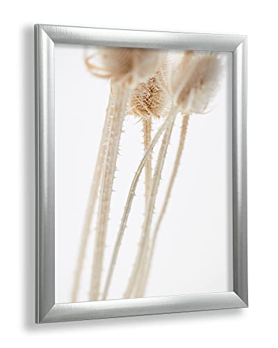 VO Design Bilderrahmen Arne 30 x 35 cm Edelstahl Optik mit klarem 1 mm Kunstglas - Farbe und Größe frei wählbar von Vogel Design