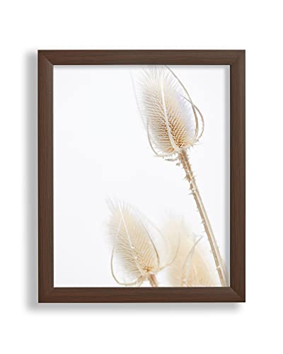 VO Design Bilderrahmen Arne 60 x 140 cm Eiche Dunkel Optik mit klarem 1 mm Kunstglas - Farbe und Größe frei wählbar von Vogel Design