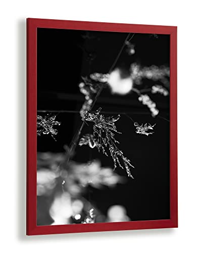 VO Design Jori Premium Massivholz Bilderrahmen Posterrahmen 20,5 x 25,5 cm Farbe Rot Antireflex Kunstglas Farbe und Größe wählbar von Vogel Design