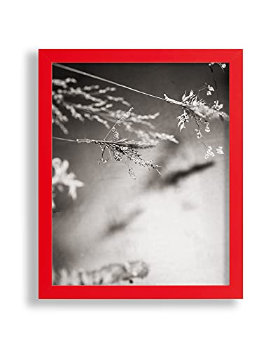 Vogel Design Bilderrahmen Finn 45 x 35 cm Rot MDF mit Antireflex-Kunstglasscheibe - Farbe und Größe frei wählbar von Vogel Design
