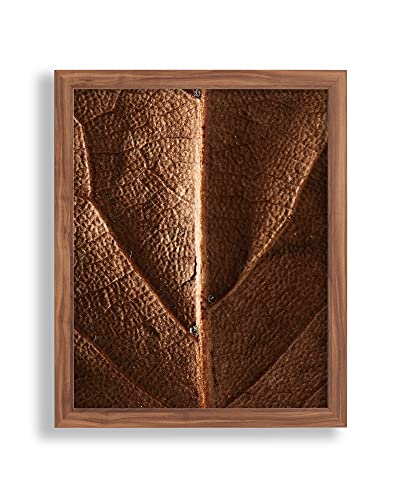 Vogel Design Bilderrahmen Finn 49 x 36 cm Nussbaum Dunkel Dekor MDF mit Antireflex-Kunstglasscheibe - Farbe und Größe frei wählbar von Vogel Design