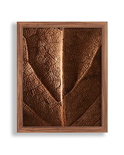 Vogel Design Bilderrahmen Finn 50 x 40 cm Nussbaum Dunkel Dekor MDF mit Antireflex-Kunstglasscheibe - Farbe und Größe frei wählbar von Vogel Design