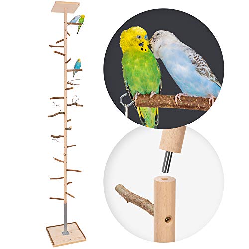 Vogelgaleria® Zimmerhoher Vogel-Kletterbaum 253-255 cm HiFly Basic mit Naturholz-Sitzstangen Vogelspielzeug Vogelspielplatz Freisitz Freiflug Landeplatz für Wellensittich Nymphensittich von Vogelgaleria