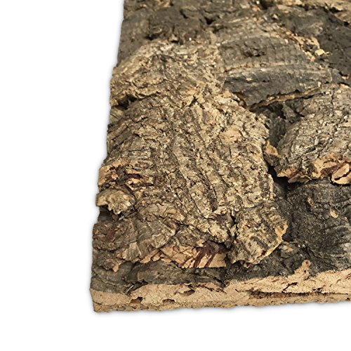 Vogelgaleria Kork Rückwand Terrarium Natur 45 x 60cm mit Wunschzuschnitt | Kork Pinnwand |Terrariumrückwand | Funktionale Terrarium Dekoration | Korkrückwand Vogelgaleria Kork Rückwand Terrarium Natur 45 x 60cm mit Wunschzuschnitt | Kork Pinnwand |Terrariumrückwand | Funktionale Terrarium Dekoration | Korkrückwand von Vogelgaleria
