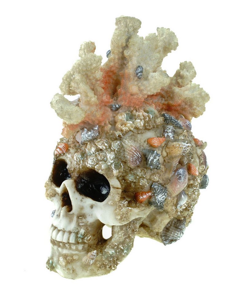Vogler Dekofigur Korallentotenkopf mit Ablagerung 18 cm Totenschädel Replik Vogler Dekofigur Korallentotenkopf mit Ablagerung 18 cm Totenschädel Replik von Vogler