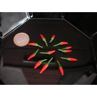 10 Samen Mini-Chili Bonsai-Chili Capsicum Minimum Schöne Zimmerpflanze von Vogt666