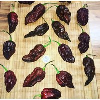 Big Black Mama Chili 10 Samen Superscharfe Chilisorte Mit Riesigen Früchten Seeds von Vogt666