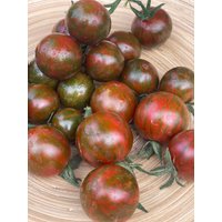 Black Zebra Cherry Cocktailtomate 10 Samen Black Zebra Cherry Cocktailtomate 10 Samen von Vogt666
