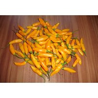 Aji Cito Chili Samen Ertragreiche Sorte Aus Peru Sehr Selten Seeds Aji Cito Chili Samen Ertragreiche Sorte Aus Peru Sehr Selten Seeds von Vogt666