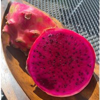 Drachenfrucht Dragonfruit 10 Samen Pitahaya Pitaya Obstsamen Kaktus Pink Drachenfrucht Dragonfruit 10 Samen Pitahaya Pitaya Obstsamen Kaktus Pink von Vogt666