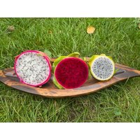 Drachenfrucht Dragonfruit Rot Lila Gelb Je 10 Samen Pitahaya Obstsamen Kaktus Seeds von Vogt666