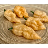 Jay's Peach Ghost Scorpion Chili Samen Xxl Hot Capsicum Chinense Seeds Jay's Peach Ghost Scorpion Chili Samen Xxl Hot Capsicum Chinense Seeds von Vogt666