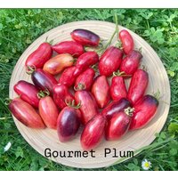 Tomatensamen - Gourmet Plum | 10 Samen Rarität & Geschmackserlebnis Tomatensamen - Gourmet Plum | 10 Samen Rarität & Geschmackserlebnis von Vogt666