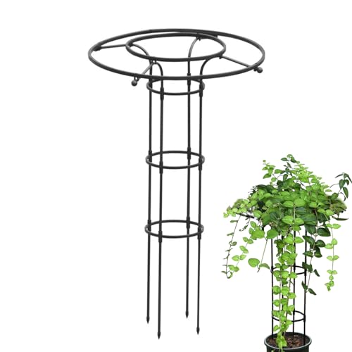 Garten Rankgitter für Kletterpflanzen - Vertikale Metall-Blumenstütze - Metall Rankhilfe Mit Säulenform Für Blumen, Zimmerpflanzen & Rankgewächse Garten Rankgitter für Kletterpflanzen - Vertikale Metall-Blumenstütze - Metall Rankhilfe Mit Säulenform Für Blumen, Zimmerpflanzen & Rankgewächse von Voihamy