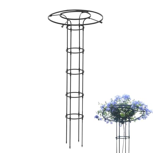 Outdoor Rankgitter Für Kletterpflanzen,Vertikale Metall-Blumenstütze - Metall Rankhilfe Mit Säulenform Für Blumen, Zimmerpflanzen & Rankgewächse von Voihamy