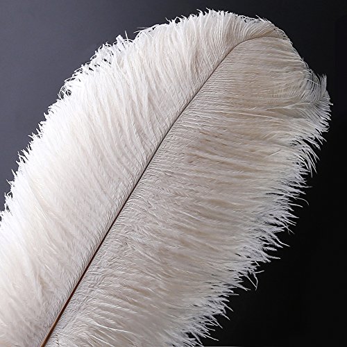 VoilaLove 10 stücke Natürliche Straußenfedern Handwerk 14-16 Zoll (35-40 cm) Plume für Hochzeit Mittelstücke Dekoration (35-40cm,Weiß) von VoilaLove