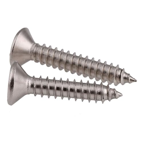 10 Stück M5/ M6, 10-100 mm Senkkopf-Blechschraube A4 Edelstahl Senkkopf-Kreuzschraube(M6 x 25mm) von Voirrow