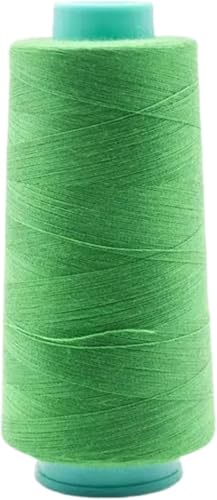 1 Spule Polyestergarn, grünes Polyester-Nähgarn für Hand- und Maschinennähen, 3000 Yards 1 Spule Polyestergarn, grünes Polyester-Nähgarn für Hand- und Maschinennähen, 3000 Yards von Vokenforu