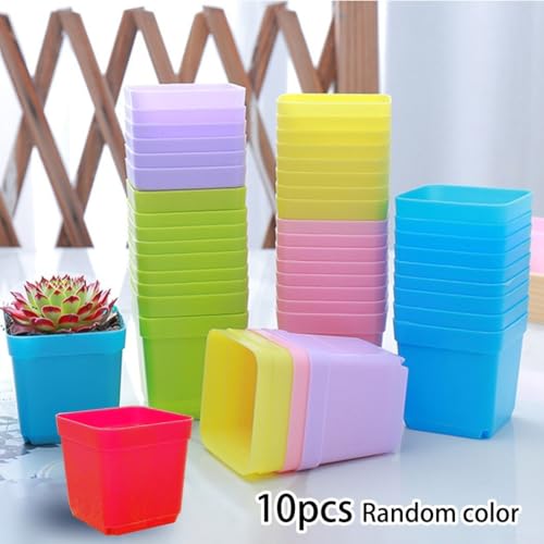 Set mit 10 quadratischen Mini-Blumentopf-Tabletts mit Ablauflöchern für Sukkulenten, für Zuhause und Büro (2) von Volakebeing