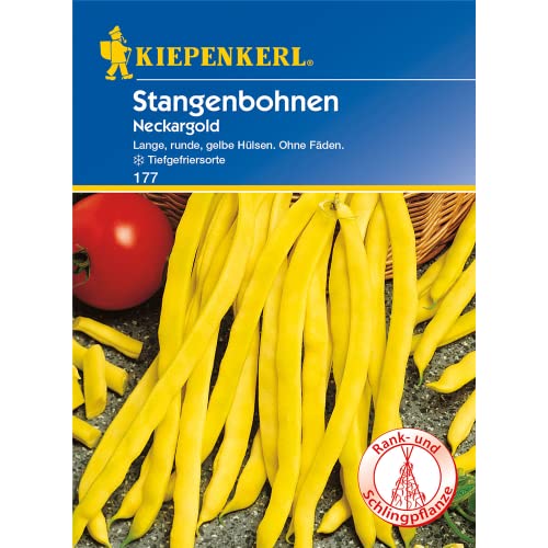 Stangen-Bohne 'Neckargold' - Phaseolus vulgaris VAR. vulgaris 'Neckargold' - 15-20 Stangen von Volmary